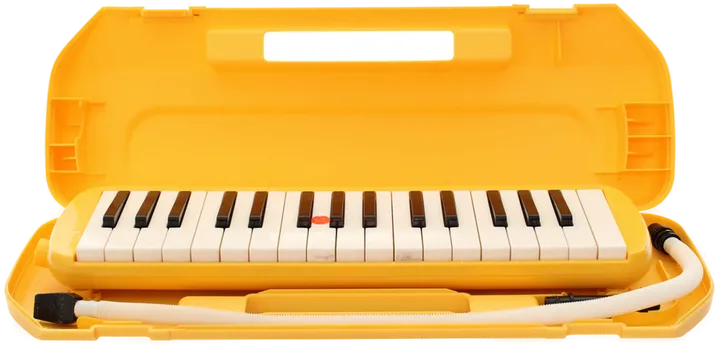 Blasinstrument 