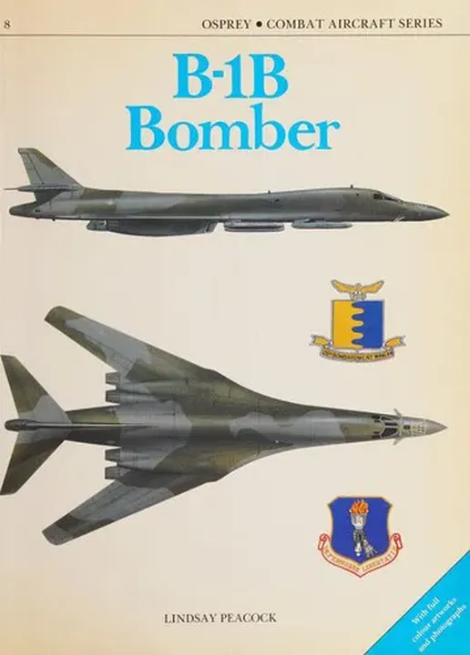 B-1B Bomber - Lindsay T. Peacock - Bild 2