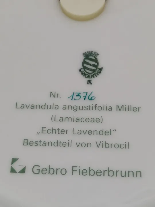 Suisse Langenthal Gebro Fieberbrunn Wandteller Nr.1376 - Bild 2