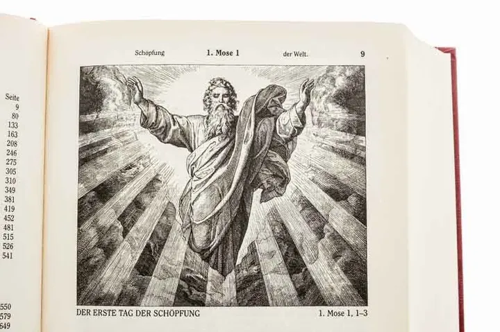 Goldrandbibel mit 223 Abbildungen von Julius Schnorr von Carolsfeld Fassung von 1912 - Bild 4