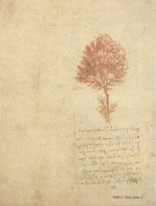 Leonardo da Vinci, Natur und Landschaft: Naturstudien aus der Königlichen Bibliothek in Windsor Castle  - Bild 2