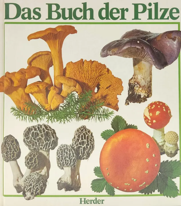 Das Buch der Pilze - Jakob Schlittler, Fred Waldvogel - Bild 2