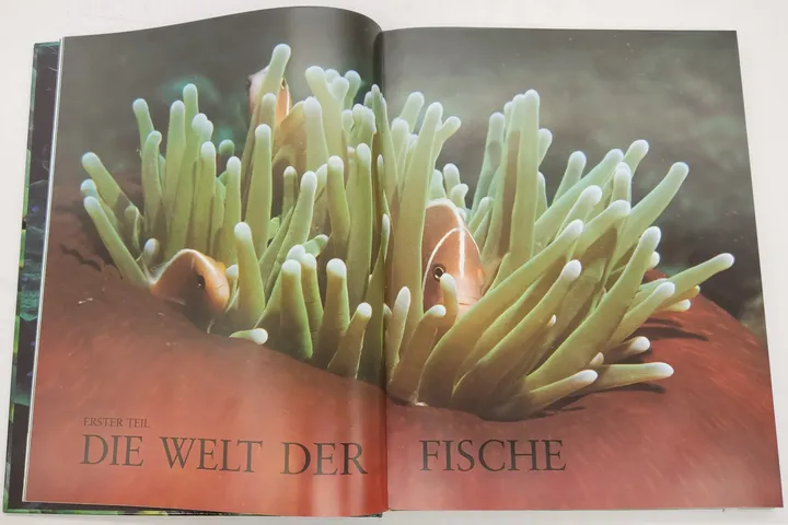 Buch Enzyklopädie der 