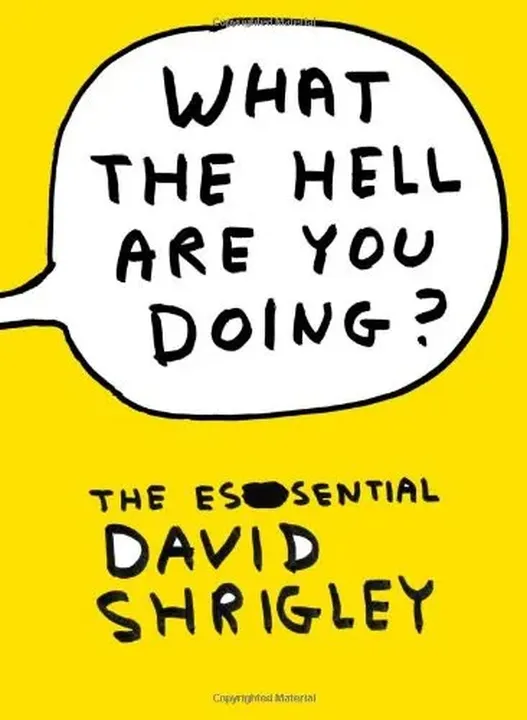 What the Hell are You Doing? - David Shrigley - Bild 1