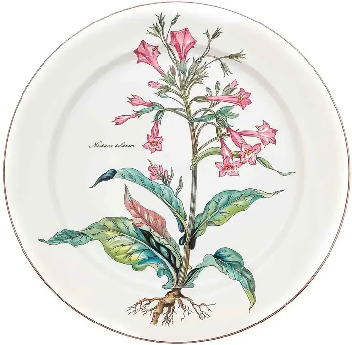 Villeroy & Boch Sammelteller Depuis 1748 Botanica 