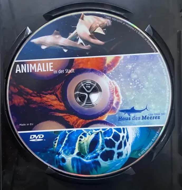 Animalie in der Stadt - Haus des Meeres - DVD - Bild 3