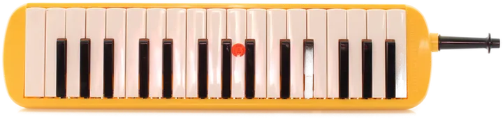 Blasinstrument 