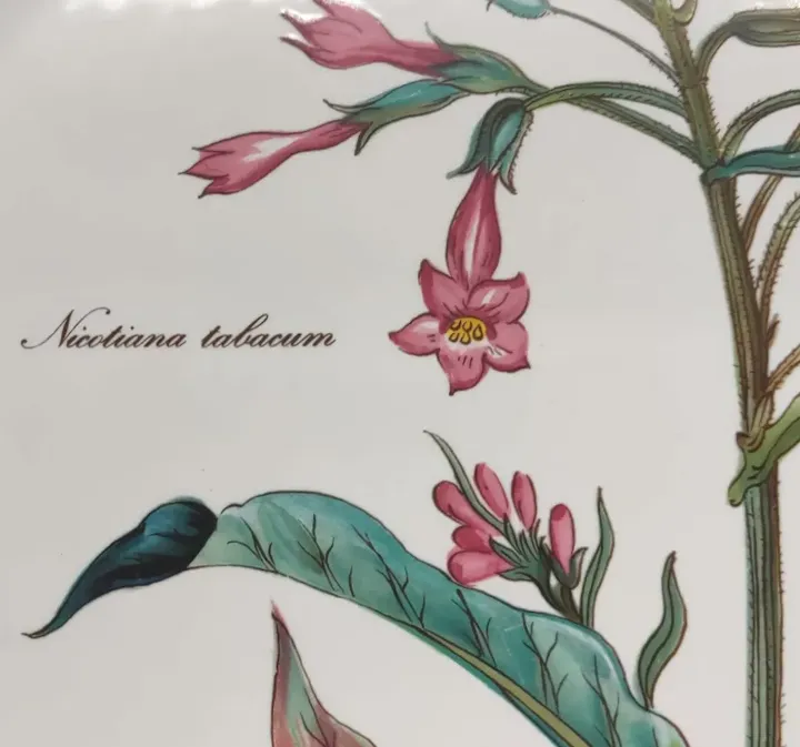 Villeroy & Boch Sammelteller Depuis 1748 Botanica 