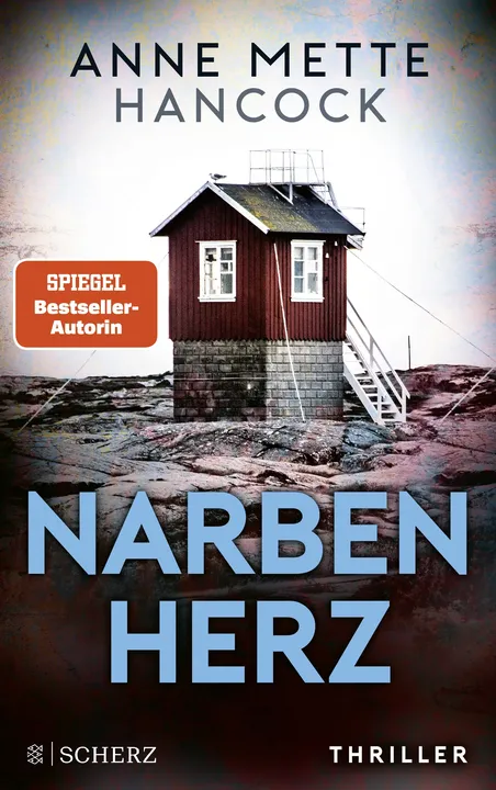 Narbenherz - Anne Mette Hancock - Bild 1