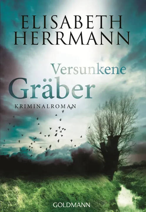 Versunkene Gräber - Elisabeth Herrmann - Bild 1