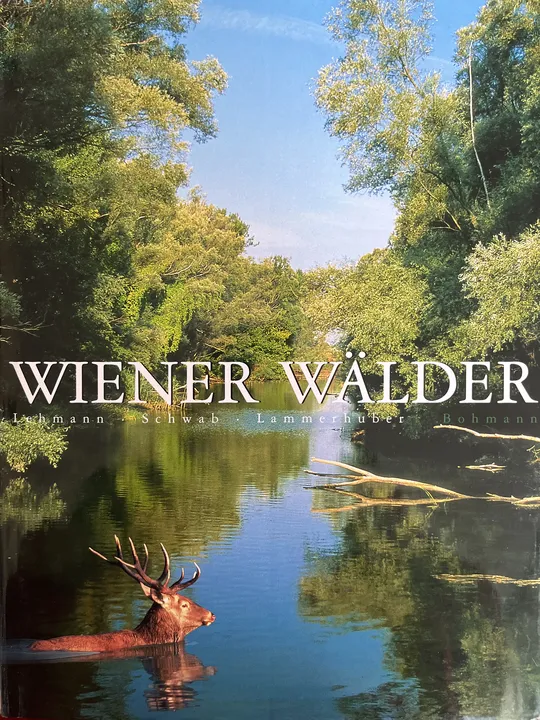 Wiener Wälder - Oliver Lehmann - Bild 1