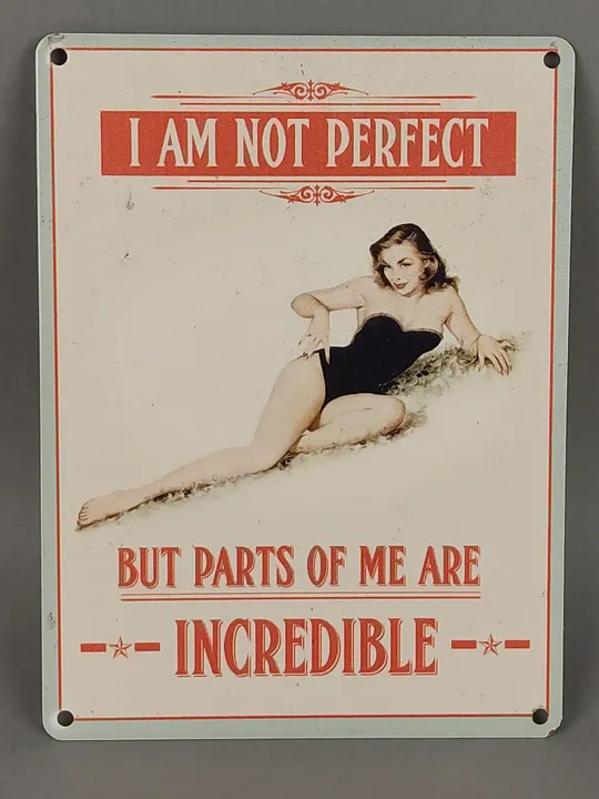 Blechschild / Wandbild - I am not Perfect - Bild 1