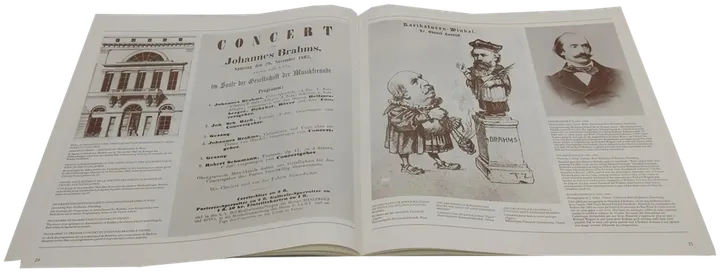 Box mit 11 Langspielplatte Johannes Brahms – 