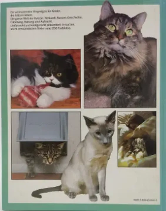 Katzen in 200 Bildern - Yvonne Rees - Bild 2