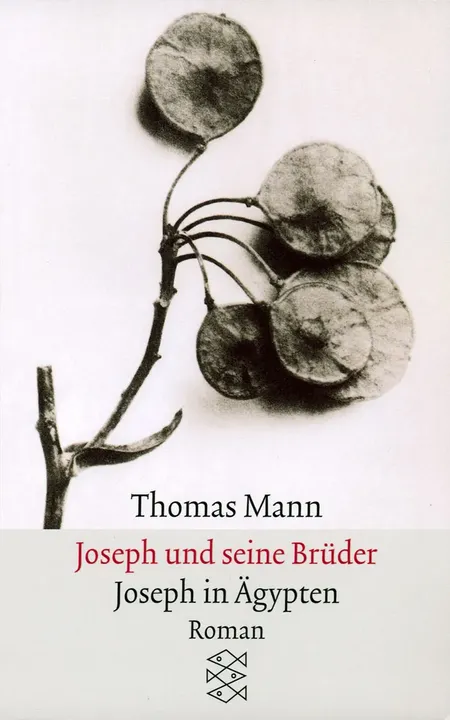 Joseph und seine Brüder III. Joseph in Ägypten - Thomas Mann - Bild 1