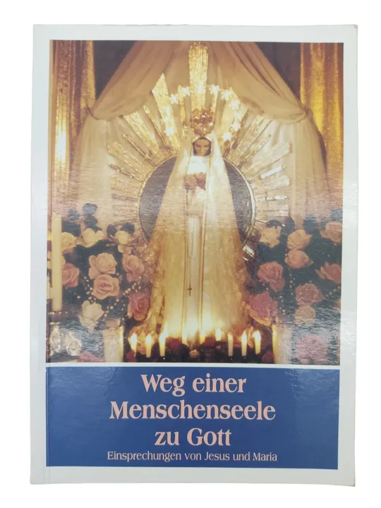 Weg einer Menschenseele zu Gott – Band 3 - Bild 2