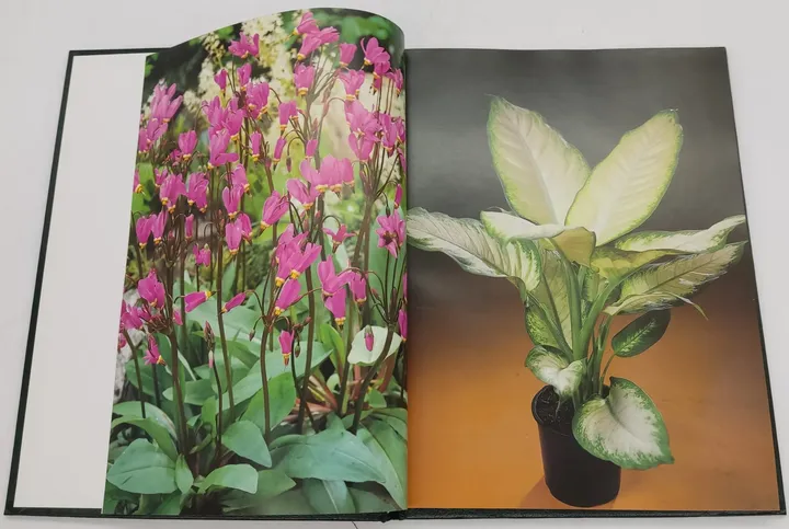 Buch Blumen und Pflanzen in Haus und Garten 3 Bände (ABE,DAH,DIO) von 1989 in Kunstleder - Bild 7