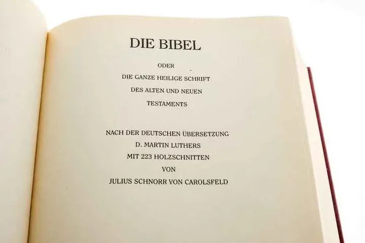 Goldrandbibel mit 223 Abbildungen von Julius Schnorr von Carolsfeld Fassung von 1912 - Bild 5